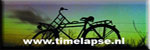 museum of time