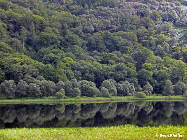 Nature in Ireland