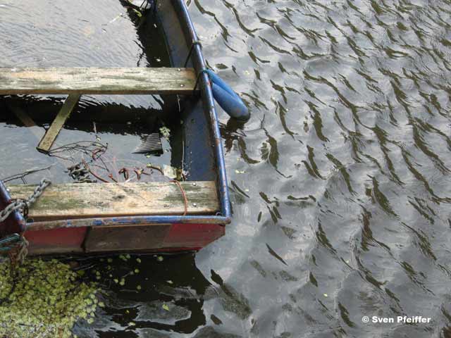 Houseboat