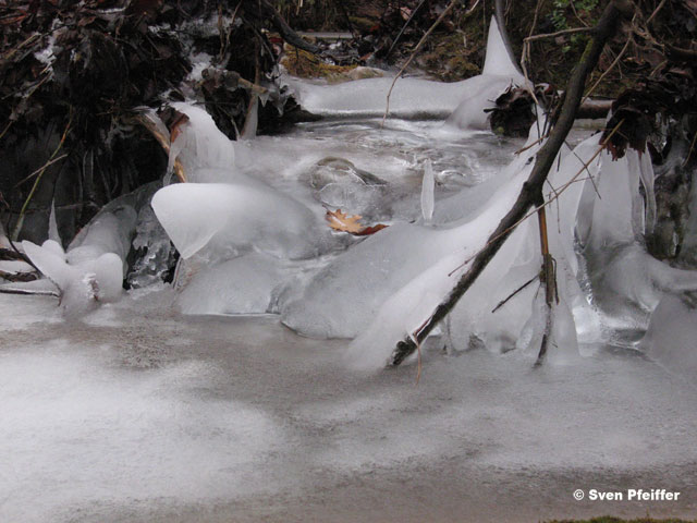 iced forest river Catalunya 